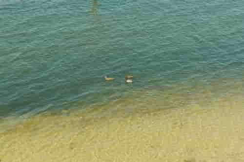 some locals