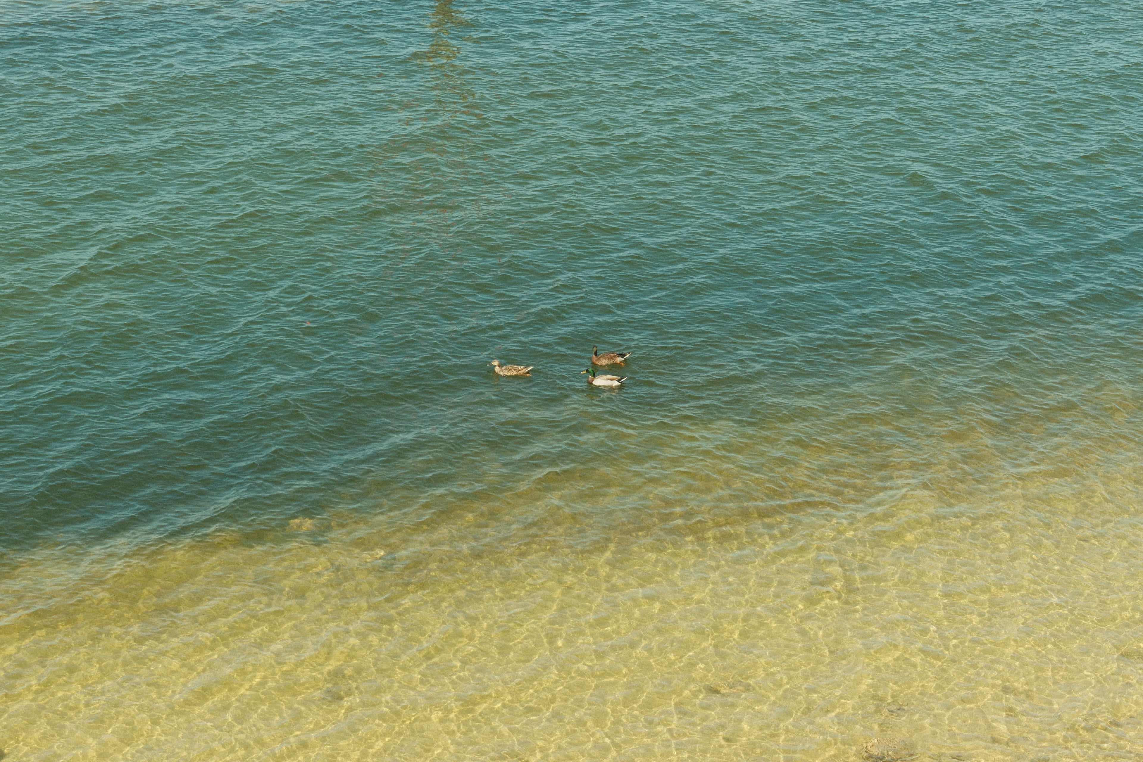 some locals