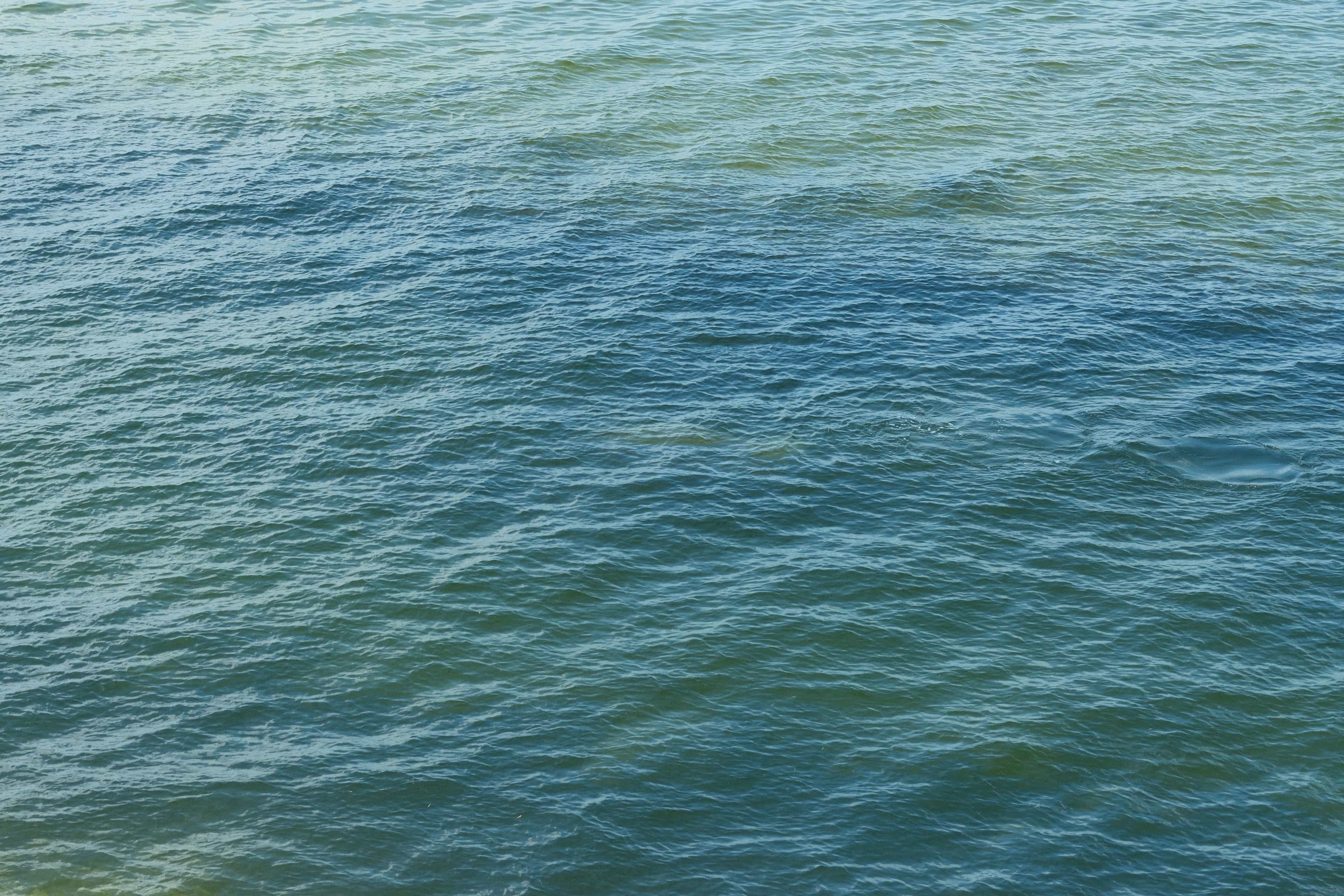 gulf waters