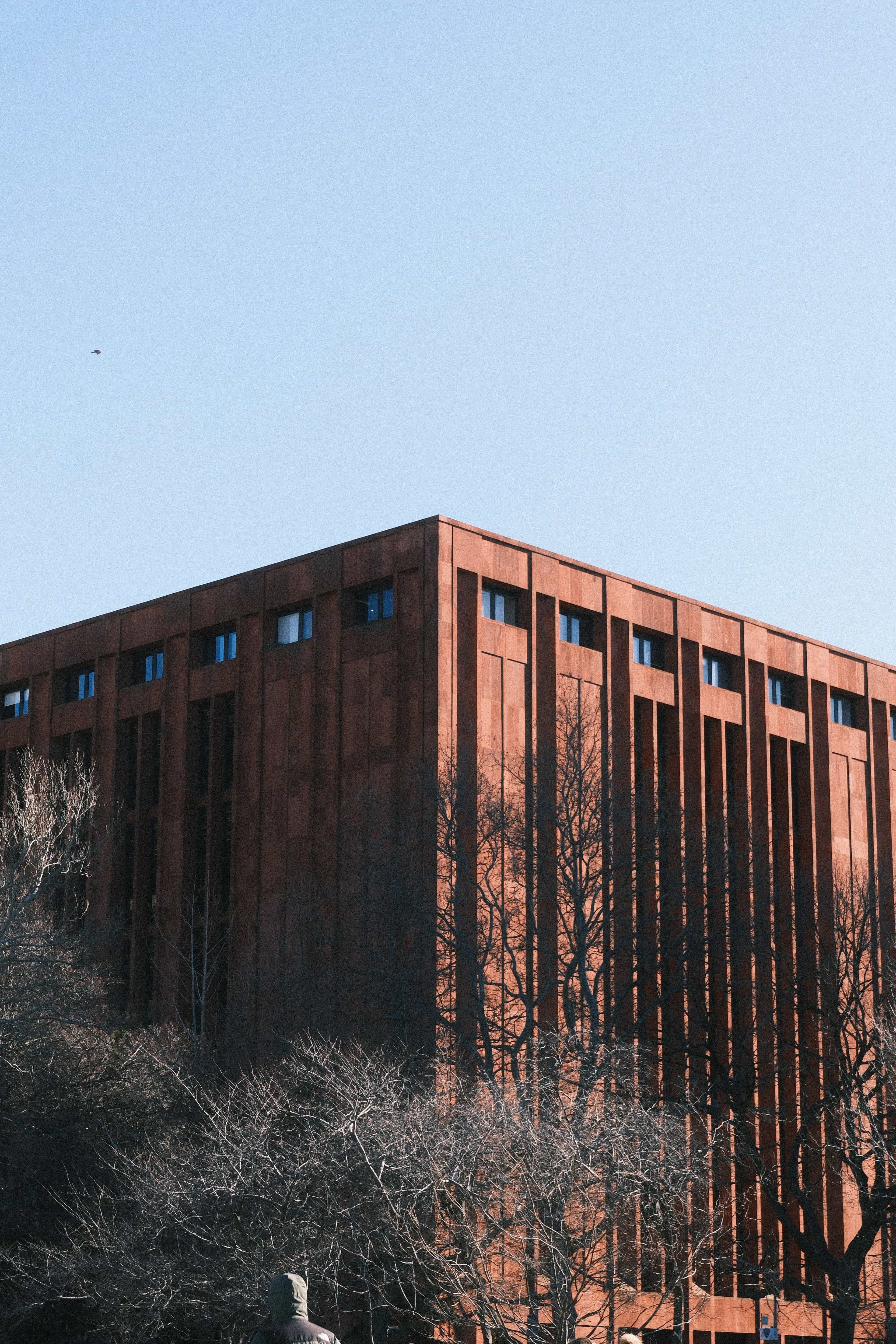 nyu bobst library
